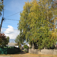 Сыктывкар 2013