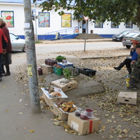 Сыктывкар 2013 лесные дары