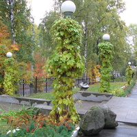 Сыктывкар 2013