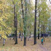 Сыктывкар 2013 у республиканского стадиона