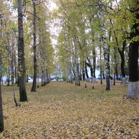 Сыктывкар 2013 у республиканского стадиона