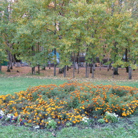 Сыктывкар 2013 возле республиканского стадиона