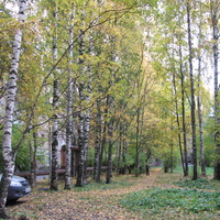 Сыктывкар 2013