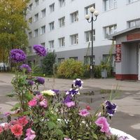 Сыктывкар 2013 Октябрьский проспект