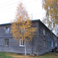 Сыктывкар 2013 Дырнос - березка