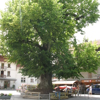 Samoëns (Самоен) 03/06/2011