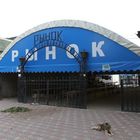 Приморск. Центральный рынок.