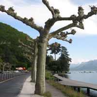Annecy-le-Vieux 04/06/2013