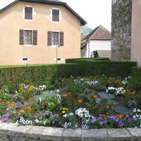 Annecy-le-Vieux 25/06/2013