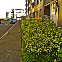 Славянка. Улица Ростовская.