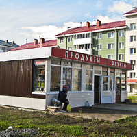 Славянка. На Колпинском шоссе.