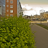 Славянка. Улица Галицкая.