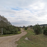 Дорога в деревню Сидорки.
