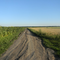шлях на хутори