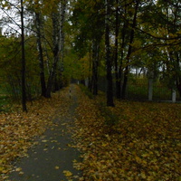салтыковский парк