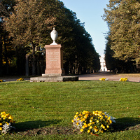 Цветник в Павловском парке