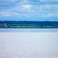 Жижицкое озеро,вид на остров Долгий.