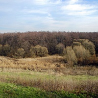 Природа села Алисовка