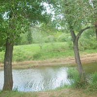 река Донгуз