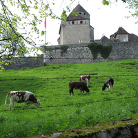 LOVAGNY 27/04/2006