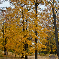 Александровский парк