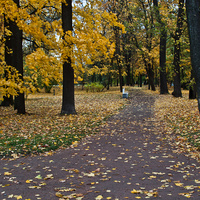 Александровский парк