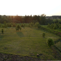 Видпротасов