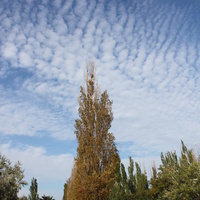 Бердянск. Средняя коса. Ул. Макарова.