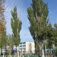 Бердянск. Средняя коса. Ул. Макарова.