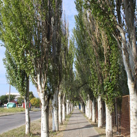 Бердянск. Средняя коса. Ул. Макарова.