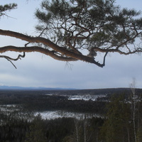 вид с Яшкиной горы