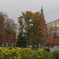 Осень в Александровском саду