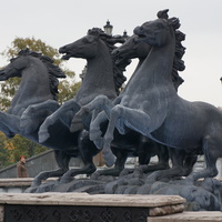 Лошади на манеже в центре фонтана