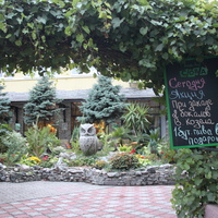 Бердянск. Кафе-бар "Сова".