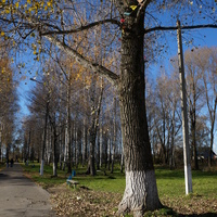 В Михневском парке отдыха