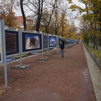 Выставка под открытым небом на Тверском бульваре
