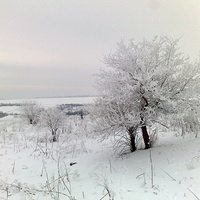 Зимова Русава