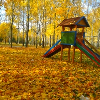 Осень в Бобровичах