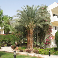Hurghada 2010