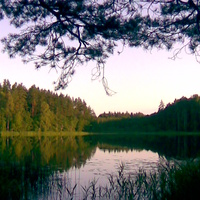 Озеро Сапроновское