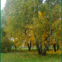 Осень в сельском парке