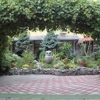 Бердянск. Кафе "Сова".