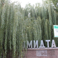 Бердянск. Парк имени П.П. Шмидта.