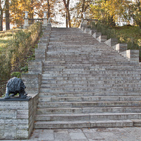 Лестница в Павловском парке