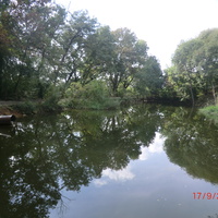 Великолепный "панский "  пруд и лесная зона в конце улицы Верхняя села Каменно-Андрианово