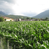 Saint-Jorioz 23/06/2011