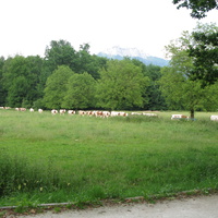 Saint-Jorioz 17/06/2013