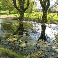 Saint-Jorioz 27/05/2013