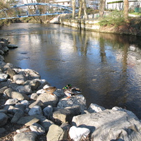 Cran-Gevrier 2008 Thiou