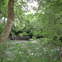 Cran-Gevrier 2011 Thiou